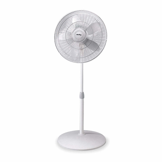 Picture of 18 IN PEDESTAL FAN- OSCILLATING- 120V AC- NUMBER OF SPEEDS 3