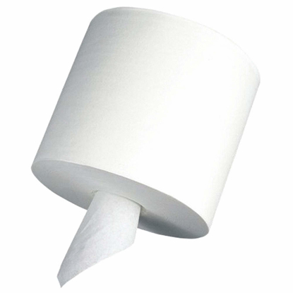 Picture of PAPER TOWEL ROLL- PACIFIC BLUE BASIC(TM)- CENTER PULL- WHIT