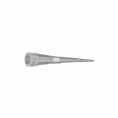Picture of PIPETTER TIPS