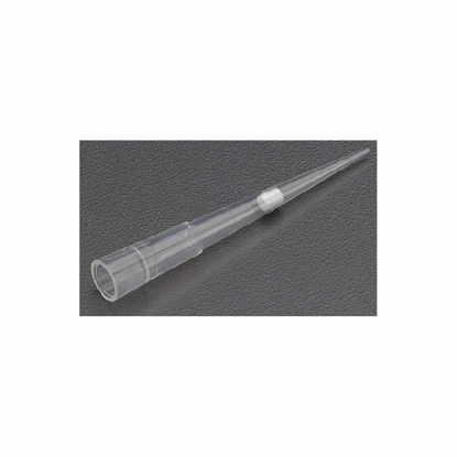 Picture of PIPETTER TIPS