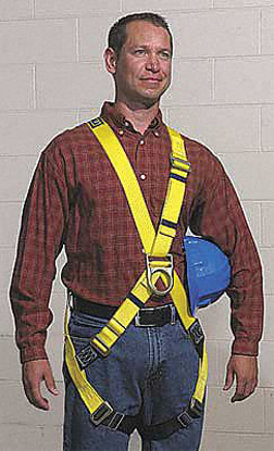 Picture of FULL BODY HARNESS- 420LB- XL