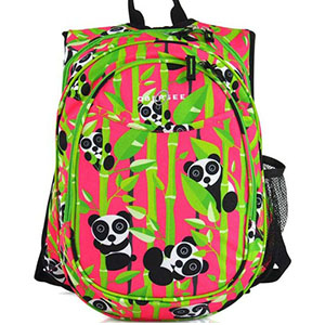 Picture for category BACKPACKS