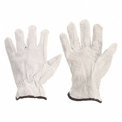 Picture of CONDOR LEATHER GLOVES: M ( 8 )