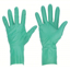 Picture of DISPOSABLE GLOVES
