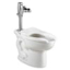 Picture of ELONG TOILET W/EVERCLEAN