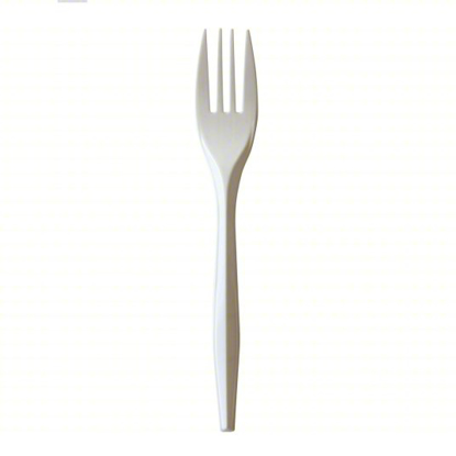 Picture of DISPOSABLE PLASTIC UNWRAPPED FORK, 1,000 PK