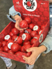 Picture of RED CLOWN NOSES, CASE OF 360 NOSES