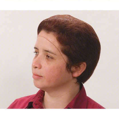 Picture of HAIRNET: GEN USE, NYLON, BROWN, 144 PER CASE