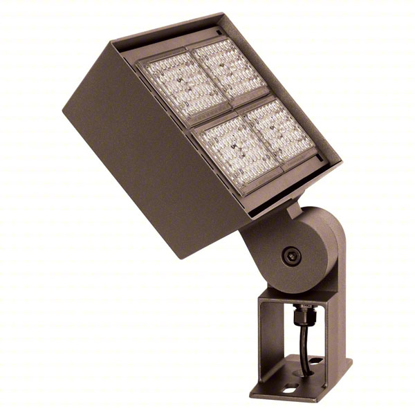 Picture of FLOODLIGHT- LED- FIXTURE MOUNTING LOCATION POLE- WALL- TRUN