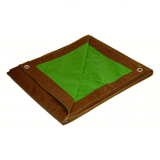 Picture of TARP